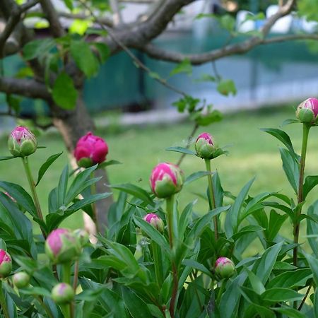 Aria Di Casa B&B Cantù Екстериор снимка