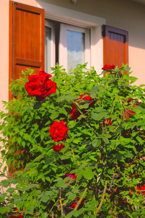 Aria Di Casa B&B Cantù Екстериор снимка